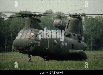 Februar 2007 – AT Land – US-Streitkräfte, Militärflugzeug Cargo CH-46 Sea Knight Helicopter (Foto: © Mi D. Seitelman/ZUMA Press) EINSCHRÄNKUNGEN: (Datei Foto: Exaktes Datum und Ort unbekannt) Stockfoto