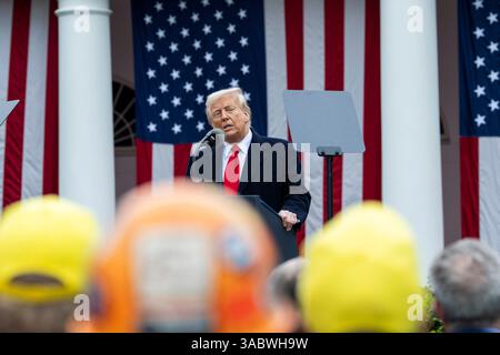 Washington, Usa. April 2025. U. US-Präsident Donald Trump gibt seine Anmerkungen ab, als er während seiner Veranstaltung Make America Wealthy Again im Rose Garden of the White House, 2. April 2025 in Washington, DC, seinen Tarifplan für alle importierten Waren ankündigt. Credit: Daniel Torok/White House Photo/Alamy Live News Stockfoto