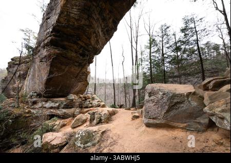 Blick auf Grays Arch von unten in Kentucky Red River Gorge Stockfoto