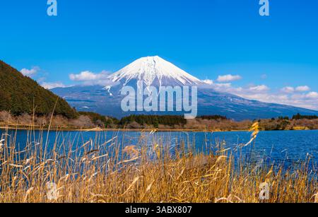 Ein lebendiger Panoramablick auf den Fuji, aufgenommen am Mittag vom ruhigen Ufer des Tanuki-Sees in Fujinomiya, Präfektur Shizuoka, Japan. Stockfoto