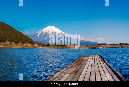 Ein atemberaubender Panoramablick auf den Fuji, der majestätisch über dem Tanuki-See in Fujinomiya, Präfektur Shizuoka, Japan, ragt. Der schneebedeckte Berg Stockfoto