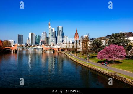 Skyline und Altstadt, Frankfurt am Main, Hessen, Deutschland Stockfoto