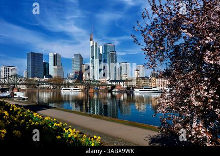 Skyline und Altstadt, Frankfurt am Main, Hessen, Deutschland Stockfoto