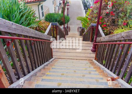 Oceanside, Kalifornien - 3. Januar 2025: Weitwinkelblick auf eine Holztreppe, die von üppigem Grün und lebhaften Blumen umgeben ist und hinunter in Richtung Stra führt Stockfoto