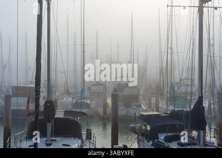 Oceanside, Kalifornien - 3. Januar 2025: Ruhiger Yachthafen in Oceanside, Kalifornien, in der Dämmerung von Nebel bedeckt, mit zahlreichen Segelbooten und Masten Stockfoto