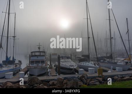Oceanside, Kalifornien - 3. Januar 2025: Ruhige Szene von Segelbooten, die in Oceanside Harbor, Kalifornien, ankern, während der frühen Morgenstunden in Nebel gehüllt sind Stockfoto