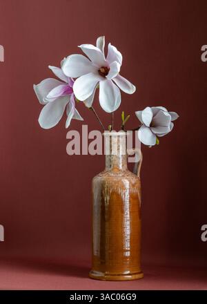 Elegantes Stillleben mit weißer Magnolie in brauner Vase auf braunem Hintergrund. Atmosphäre von natürlicher Harmonie und klassischer Ästhetik. Kopierbereich Stockfoto