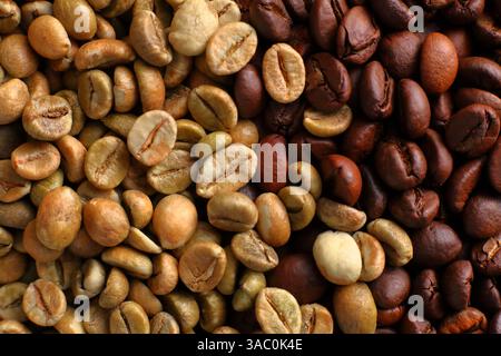 Ein Bild von Kaffeebohnen in verschiedenen Röststufen, von roh grün bis dunkel geröstet, mit einzigartigen Texturen und Farben Stockfoto
