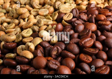 Kaffeebohnen in Röststufen: Grün, hell, Mittel und dunkel, mit Farb- und Texturvariationen von roh bis geröstet Stockfoto