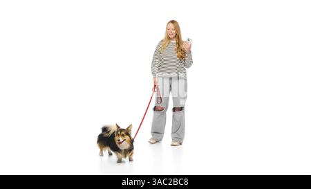 Reinrassiger, lustiger und verspielter Corgi an der Leine blickt weg, während die Frau lächelt und das Telefon vor weißem Hintergrund hält. Konzept des Haustiergangs Stockfoto