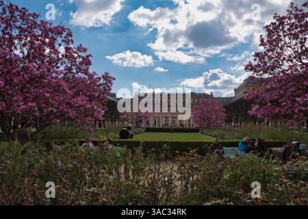 Touristen, die einen Frühlingstag im Jardin du Palais Royal in Paris genießen Stockfoto