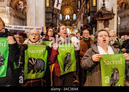März 2025. St Pauls's Cathedral, London. Singender Flashmob zieht in die St. Paul’s Cathedral, um die Kirche zu fordern, die Natur zu schützen. Im Vorfeld des World Wildlife Day rufen 200 Mitglieder des Climate Choir Movement die Church of England, einen der größten Landbesitzer des Landes, auf, sich dringend mit dem düsteren Zustand ihres Landes in London zu befassen: Ein 200-köpfiger Flash Mob überraschte Besucher und Kirchgänger in der St. Paul’s Cathedral (heute Samstag, 1. März) mit einer musikalischen Botschaft, die die wichtige Rolle der Kirche bei der Wiederherstellung der Natur unterstreicht. Stockfoto