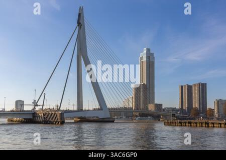 Skyline Rotterdam: Zalmtoren en Erasmusbrug Stockfoto