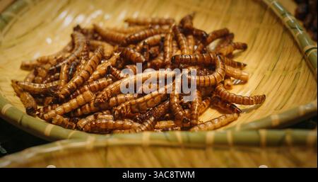 Chengdu, Sichuan, China. Frittierte Mehlwurmlarven. Straßengerösteter Mehlwurm. Beliebte Snacks In Südostasien. Neue Proteinquelle. Gebratene Seidenwürmer Stockfoto