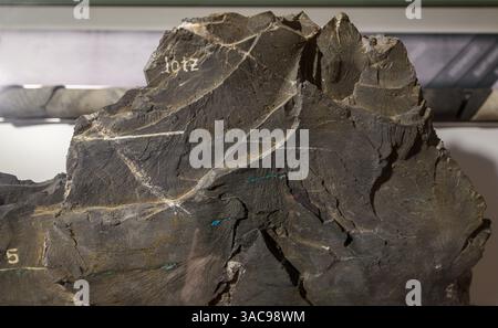 PRODUKTION - 02. April 2025, Sachsen-Anhalt, Sangerhausen: Kupferschiefernaht in der Ausstellung im Erlebniszentrum Bergbau Röhrigschacht Wettelrode. Die ersten Bergleute begannen vor 825 Jahren in der Region Mansfeld mit dem Graben nach Kupfererz. Ab 1750 wurde ein intensiver Bergbau durchgeführt. Insgesamt wurden rund 2,6 Millionen Tonnen Kupfer und 14.213 Tonnen Silber aus dem Erz in der Region gewonnen. Bis Dezember werden insgesamt 38 Veranstaltungen an den Beginn der Bergbau- und Hüttenwirtschaft in der Region Mansfeld erinnern. Als bedeutender Kupfer- und Silberproduzent trug die Region zur wirtschaftlichen Entwicklung bei Stockfoto