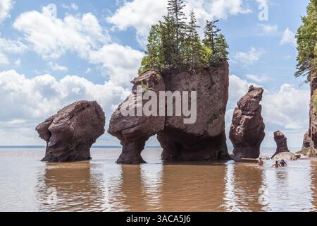 Blick auf Hopewell Rocks, auch als Flowerpots Rocks bezeichnet, die durch Erosion der Gezeiten in der Hopewell Rocks Ocean Tidal Exploration Site verursacht wurden Stockfoto