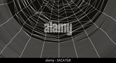 Spinnennetz oder Spinnennetz. Netzwerkhintergrund. Verbindungsstruktur. Vektordarstellung von 3D-Drahtmodellen im Technologiestil. Stock Vektor