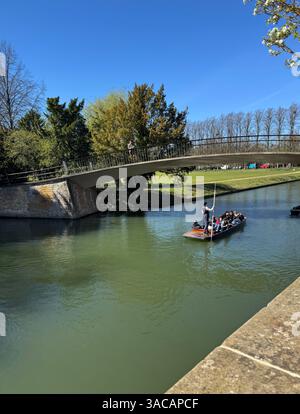 Punting auf dem Fluss Cam, Cambridge, England, Großbritannien Stockfoto
