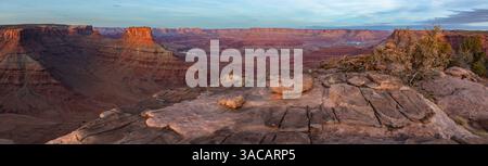 Blick auf den Colorado River vom Süden von Moab Utah. In der Ferne erstes Licht auf Dead Horse Point SP & Island im Sky District von Canyonlands NP Stockfoto