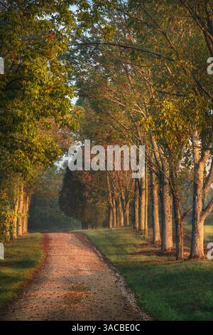 Fahrbahn und Zäune auf der Pferdefarm bei Sonnenaufgang, Oldham County, Kentucky Stockfoto