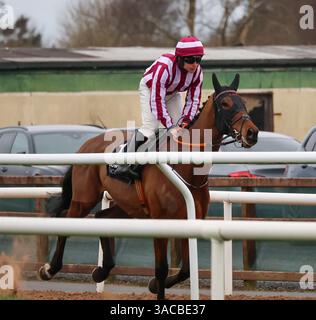 Down Royal, Lisburn, County Antrim, Nordirland. März 2025. St Patrick's Day Race Meeting - Bluegrass Horse Feed bewertet Anfänger Chase - Rennpferd Spirit of Legend (1) geritten von Jockey Phillip Enright. Stockfoto