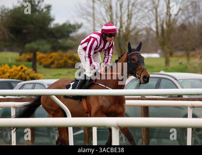 Down Royal, Lisburn, County Antrim, Nordirland. März 2025. St Patrick's Day Race Meeting - Bluegrass Horse Feed bewertet Anfänger Chase - Rennpferd Spirit of Legend (1) geritten von Jockey Phillip Enright. Stockfoto