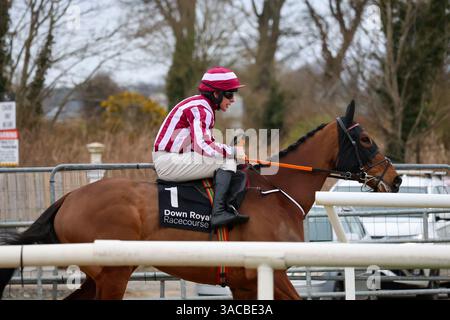 Down Royal, Lisburn, County Antrim, Nordirland. März 2025. St Patrick's Day Race Meeting - Bluegrass Horse Feed bewertet Anfänger Chase - Rennpferd Spirit of Legend (1) geritten von Jockey Phillip Enright. Stockfoto