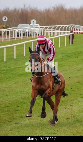 Down Royal, Lisburn, County Antrim, Nordirland. März 2025. St Patrick's Day Race Meeting - Bluegrass Horse Feed bewertet Anfänger Chase - Rennpferd Spirit of Legend (1) geritten von Jockey Phillip Enright. Stockfoto