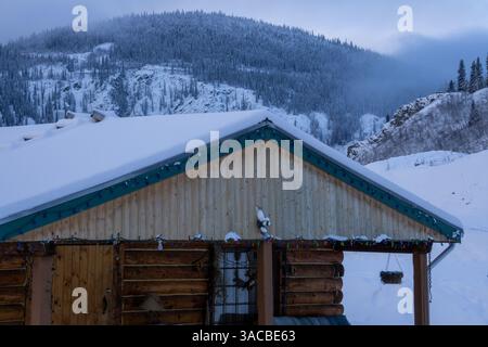 Blockhütte im Wald Stockfoto