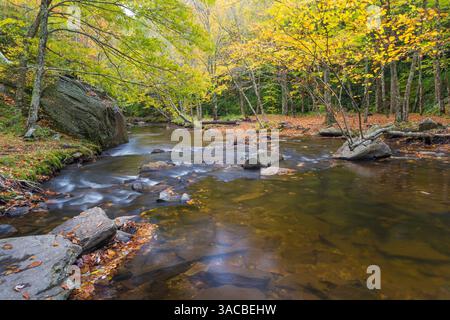 USA, North Carolina, Blue Ridge Parkway. Landschaft mit Bach und Wald. ©Don Paulson / Jaynes Gallery / DanitaDelimont.com Stockfoto