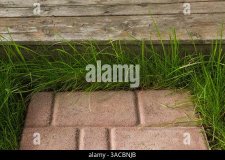 Brauner und beiger Trittstein auf dem Rasen, der im Sommer zur hölzernen Terrasse im Hinterhof führt, Quebec, Kanada Stockfoto