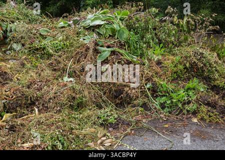 Anhäufung von Kompostieranlagen, Ästen und Blättern im Sommer. Stockfoto