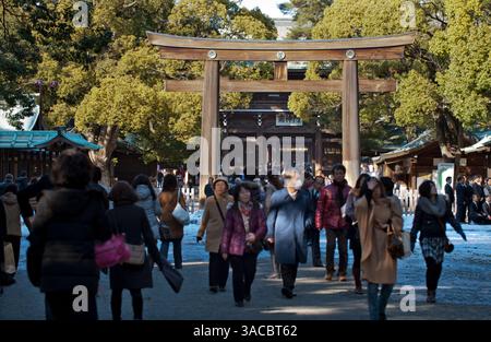 Besucher, die durch den Meiji Jingu Shinto Schrein Sanno aus Holz Torii Tor fahren, auf dem Weg zur Haupthalle, Tokio, Japan. Stockfoto