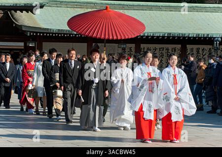 Formelle Hochzeitsprozession mit Braut, Bräutigam und Familie, eingeläutet von Mitgliedern des Shinto-Schreins mit miko und rotem Regenschirm im Meiji Jingu in Tokio, Japan. Stockfoto