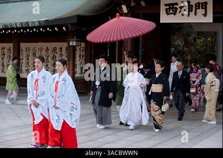 Formelle Hochzeitsprozession mit Braut, Bräutigam und Familie, eingeläutet von Mitgliedern des Shinto-Schreins mit miko und rotem Regenschirm im Meiji Jingu in Tokio, Japan. Stockfoto