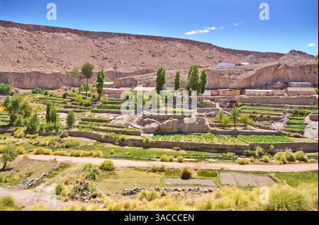 Caspana chilenisches Dorf in der Schlucht, die vom Fluss in der chilenischen Atacama-Wüste gemeißelt wurde Stockfoto