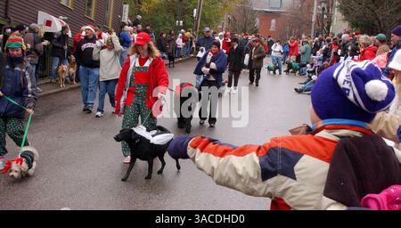 Dezember 2004 - Cincinnati, Ohio, USA - große Menschenmassen säumten die Straßen des Mt. Adams wird sich die 14. Jährliche Reindog-Parade ansehen. (Bild: © Ken Stewart/ZUMA Press) Stockfoto