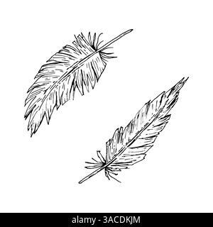 Vektorsatz von zwei handgezeichneten Federn in Tintenlinie Art Stil. Geeignet für wilde Westen Themen, Tribal Party Dekor, Boho Hochzeit Design, natürliche Textilien Stock Vektor