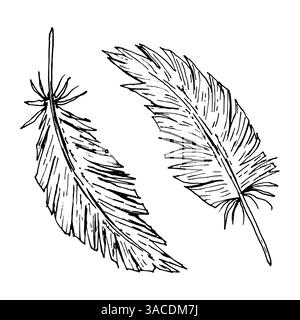 Vektor-Illustration mit einem handgezeichneten Satz von zwei Federn in Tintenlinie Art Stil. Perfekt für Tribal Dekor, Boho Hochzeit Schreibwaren, Natur Stock Vektor