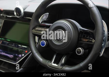 Lederlenkrad des Autos mit luxuriösen Details Stockfoto