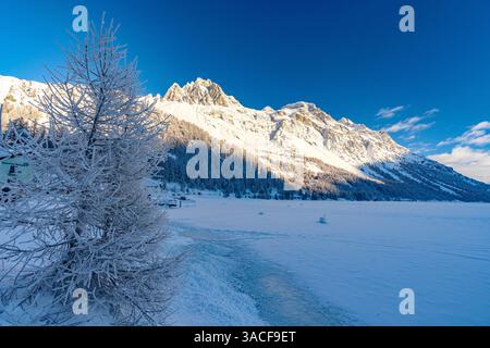 Gefrorener, verschneite See Sils im Winter, Engadin Stockfoto