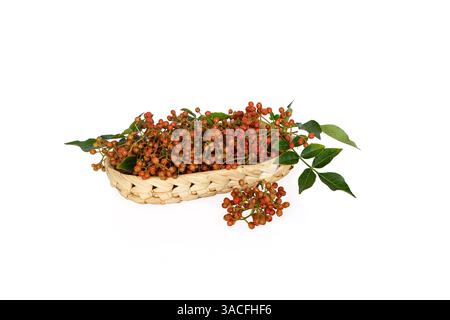 Frischer Sichuan-Pfeffer (Zanthoxylum bungeanum) mit grünem Blatt in einem kleinen Korb isoliert auf weißem Hintergrund Stockfoto