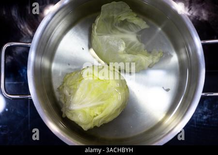 Frische Kohlblätter werden in einem Topf mit Wasser für eine gesunde Mahlzeit Zubereitung gekocht reich an Nährstoffen und Aromen für köstliche kulinarische Gerichte und Stockfoto