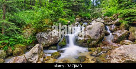 Wunderschöner Bergbach, der durch Kiefern unter sonnigem Himmel fließt. Perfekt für Naturfreunde, Wanderabenteuer, ruhige Landschaften. Im Freien Stockfoto