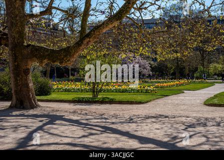 Jardin des Plantes im 5. Arrondissement von Paris. Stockfoto