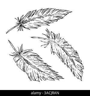 Vektor-Illustration von drei handgezeichneten Federn im Stil einer Tintenlinie. Ideal für Stammesprojekte, Boho-Hochzeiten, rustikales Branding, Ethno Stock Vektor