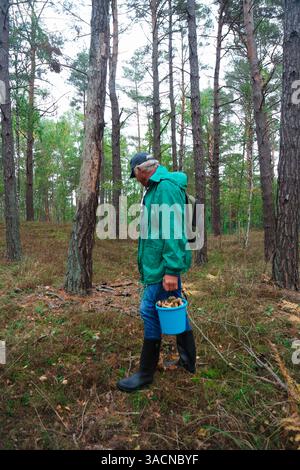 Mann, die Pilze im Wald Stockfoto