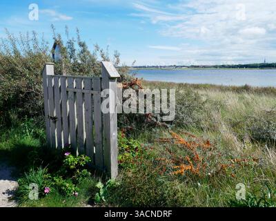 Graswarder Naturschutzgebiet Heiligenhafen Stockfoto