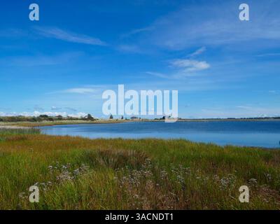 Graswarder Naturschutzgebiet Heiligenhafen Stockfoto
