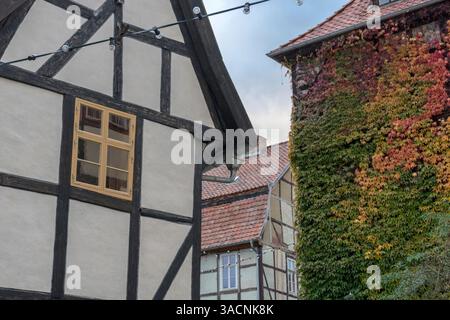 Historisches Fachwerkhaus und Giebeldach mit Herbstlaub in Quedlinburg, Sachsen-Anhalt, Deutschland, Stockfoto
